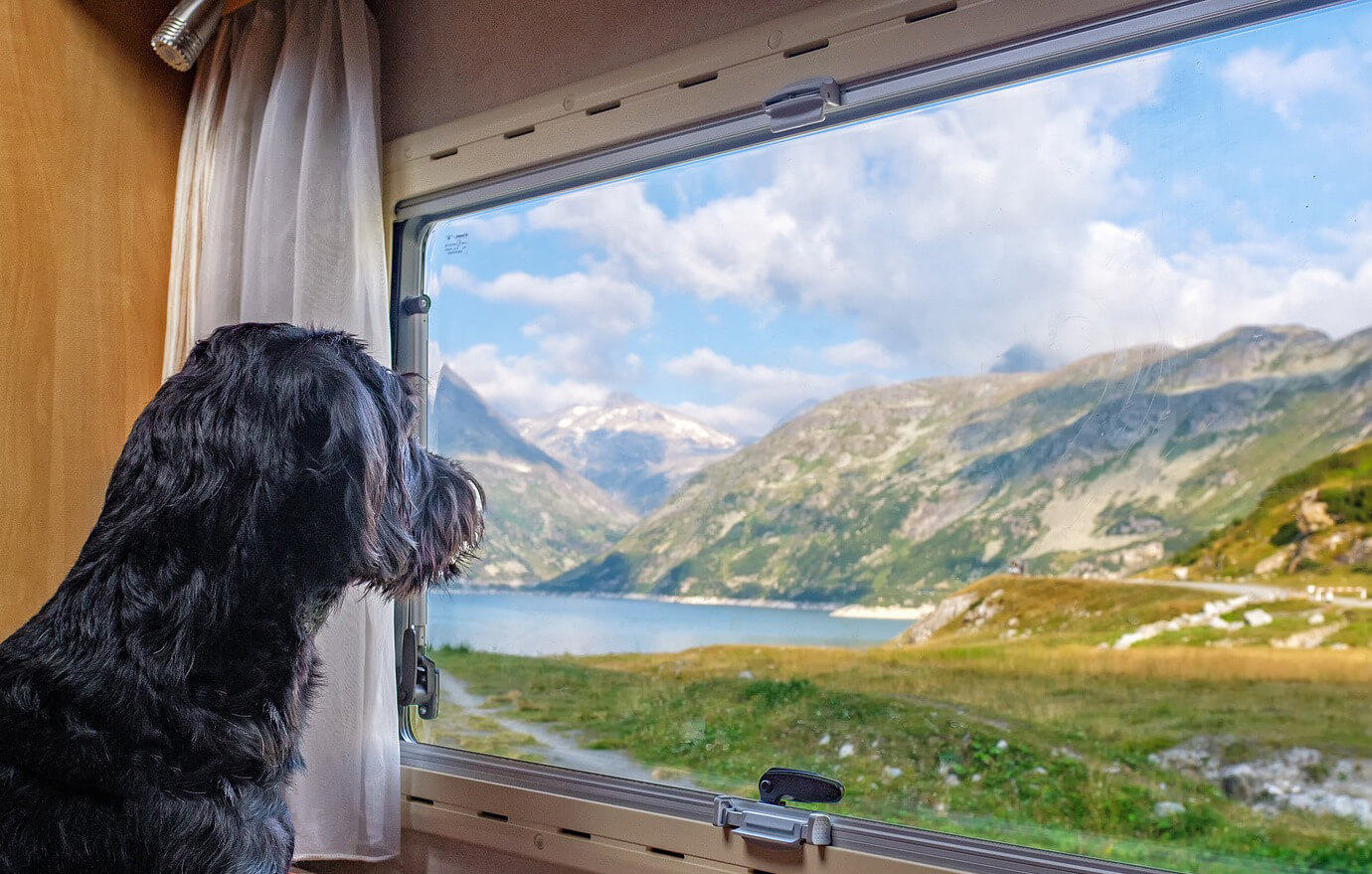 Viajar con perro en autocaravana o camper