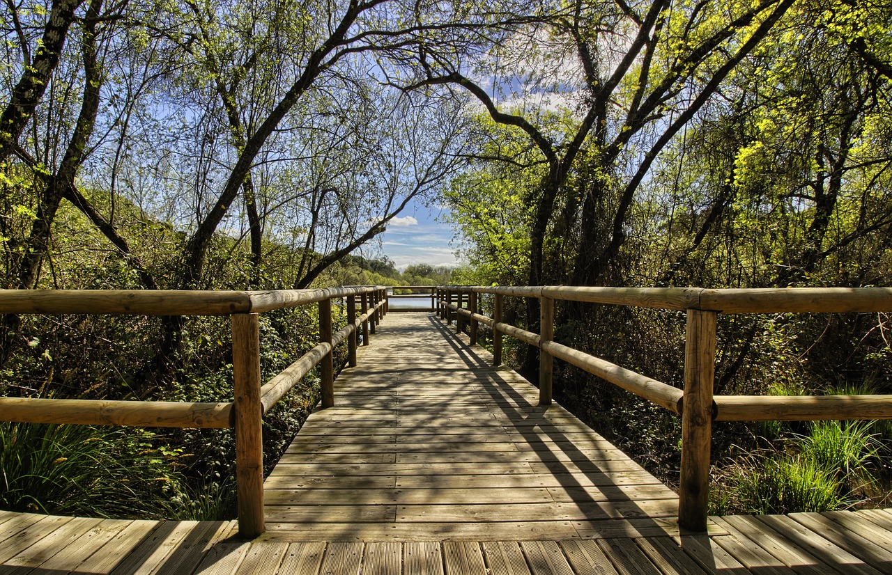 Parque Nacional de Doñana en autocaravana y furgoneta camper