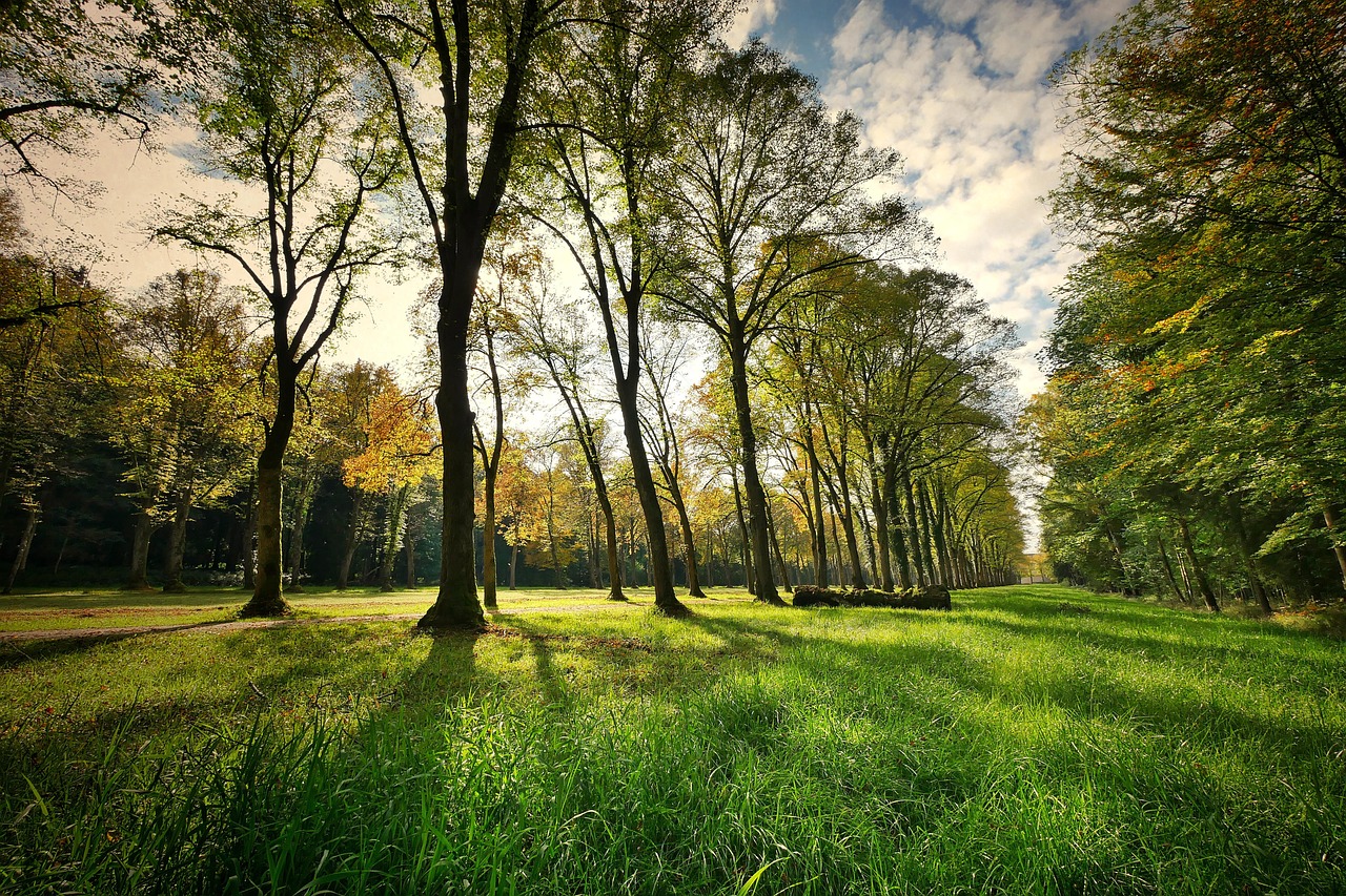 Parque de Gorbea en autocaravana y camper