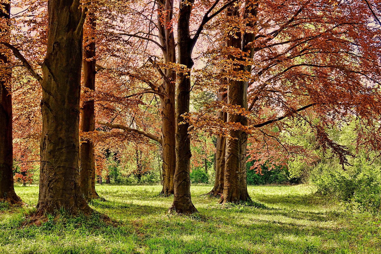 Parque de Gorbea en autocaravana y camper